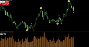 Tick Chart Volume Indicator