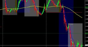 Forex Time Zone indicator MT4