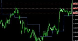 Daily Pivot Points Indicator