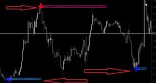 Most Accurate Reversal Indicator