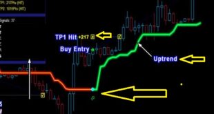 How to trade with the Risk Management Indicator