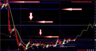 MT4 Shortcut for drawing trendlines