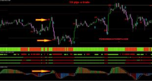 10 Pips a Day Forex Trading Strategy