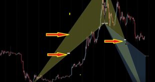 How to Trade The Bat Harmonic Pattern