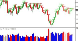 Volume Metatrader 4 Forex