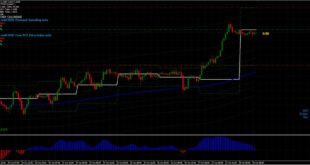 Fibonacci Grid MT4 Indicator