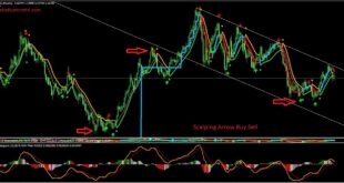 Infinity Scalper Indicator