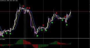 Moving Average Crossover Strategy