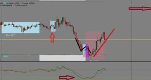 STEVE MAURO BTMM INDICATOR
