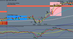 Steve Mauro MMM beat the market